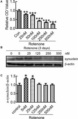 Hepcidin Decreases Rotenone-Induced α-Synuclein Accumulation via Autophagy in SH-SY5Y Cells